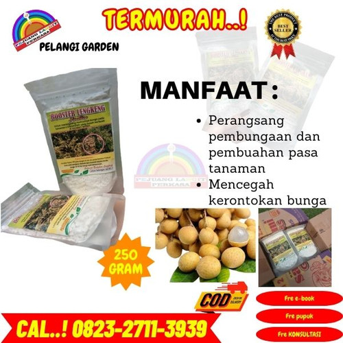 LANGSUNG BUAH ! H.Tovix CALL 0823-2711-3939 Jual Pupuk Kelengkeng Terbaik ke Kebumen-Adimulyo-Mangun.jpg