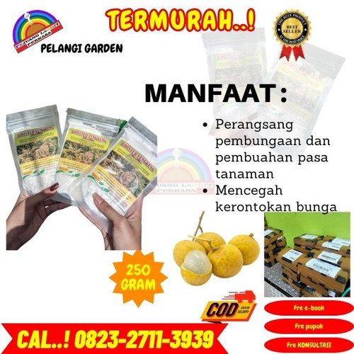 TANGAN PERTAMA! H.Tovix CALL 0823-2711-3939 Jual Pupuk Kelengkeng Yang Bagus ke Kebumen-Adimulyo-Pek.jpg