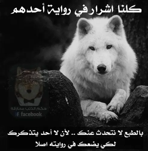 img 1 1695830592353.webp