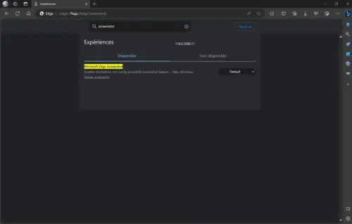 Microsoft Edge flag capture ecran 1360x865.webp