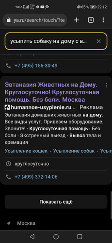 Screenshot 20231002 221246 org.iron.srware.jpg