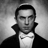 bela 2.gif