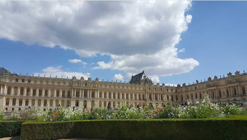 sdafsdaf optimized.jpg