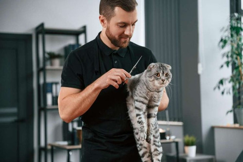 Explore Kriser's Natural Pet Streeterville Grooming Services in Chicago.jpg