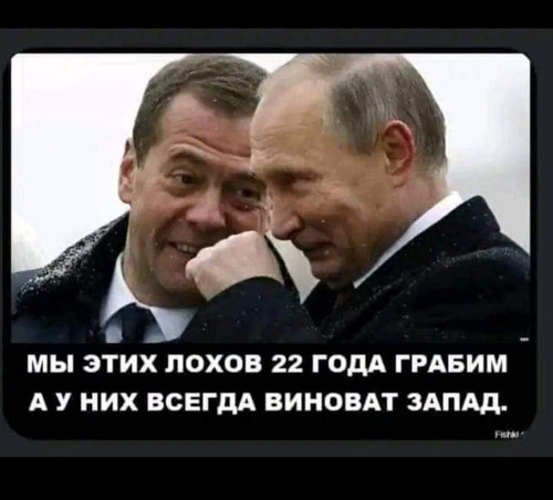 Лохи.jpg