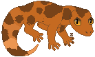 cozie weasel gecko1.png