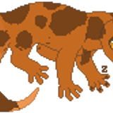 cozie weasel gecko1
