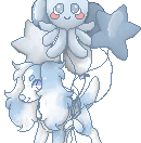 dog 20