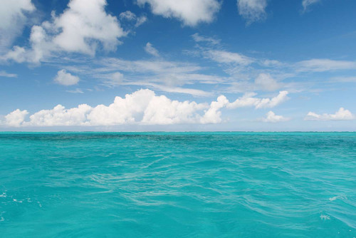 GettyImages 482194715 56a1329e5f9b58b7d0bcf666.jpg
