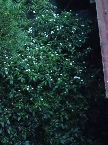 IMG 20230929 173722.jpg