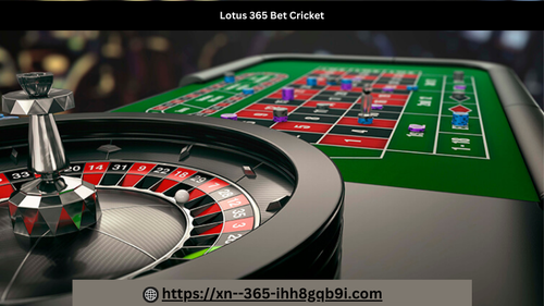 Lotus 365 Bet Cricket One Stop For Online Cricket Betting..png