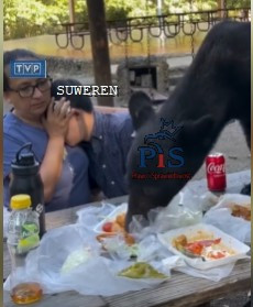 tgm.jpg