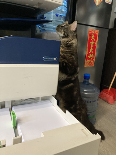 Skype Picture 2022 07 23T04 56 59 246Z.jpg