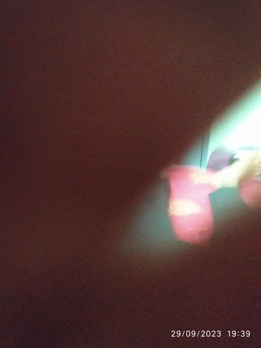 16959965497685893637072932965733.jpg