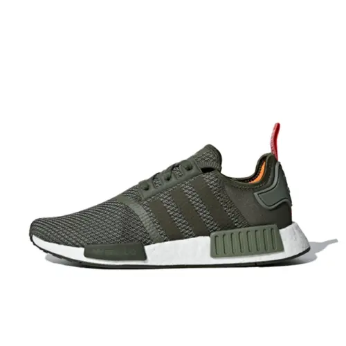 nmdr1pkgreen.webp