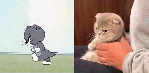 fr56.png