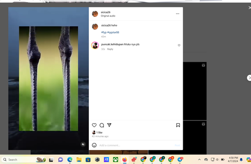 Screenshot 2024 04 07 165818.png