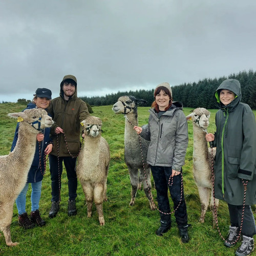 kt sullivan 1698603289 3224440556754434960 860488123.jpg