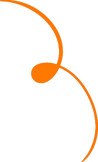 shape bird.png