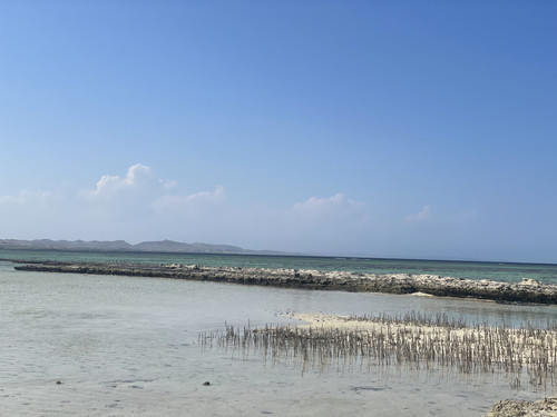 IMG 8681.jpg
