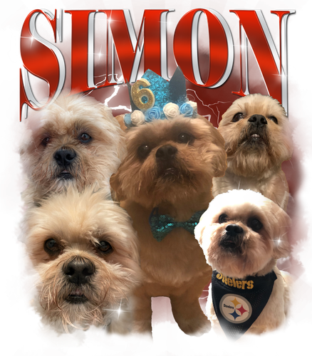 Simon.png
