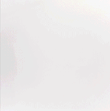 Untitled 1.gif