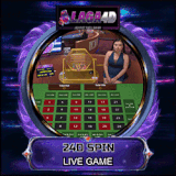 24dsp.gif