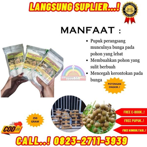 LANGSUNG PABRIK! H.Tovix CALL 0823-2711-3939 Supplier Pupuk Kelengkeng Agar Buah Tidak Rontok ke Keb.jpg
