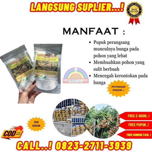 TANGAN PERTAMA! H.Tovix CALL 0823-2711-3939 Supplier Pupuk Kelengkeng Biar Cepat Buah ke Kebumen-Aya.jpg