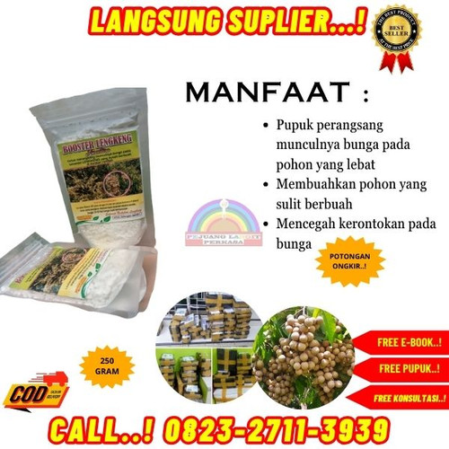 HARGA PABRIK! H.Tovix CALL 0823-2711-3939 Supplier Pupuk Kelengkeng Agar Cepat Berbuah ke Kebumen-Ay.jpg