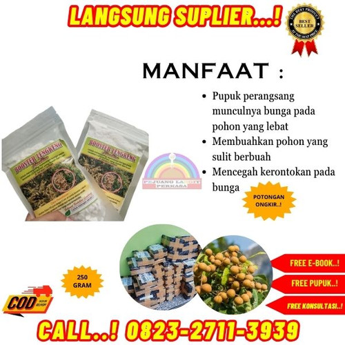 100% GARANSI! H.Tovix CALL 0823-2711-3939 Supplier Pupuk Kelengkeng Agar Berbuah Lebat ke Kebumen-Ay.jpg