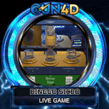 binggo.gif