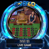 24d13.gif