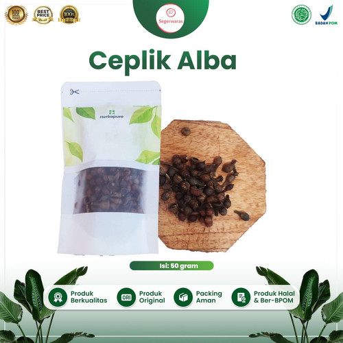 50 GRAM BUAH CEPLIKAN REMPAH CEPLIKSARI CEPLIK SARI ALBA CEPLIK BIJI.jpg