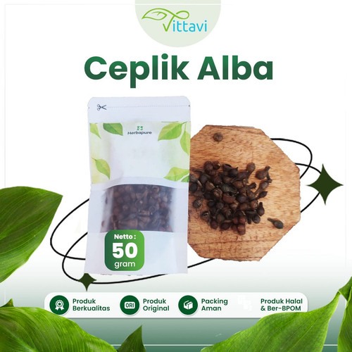 50 GRAM BUAH CEPLIKAN REMPAH CEPLIKSARI CEPLIK SARI ALBA CEPLIK BIJI.jpg