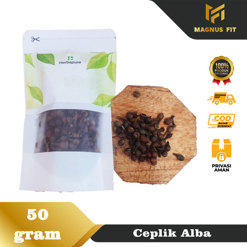 50 GRAM BUAH CEPLIKAN REMPAH CEPLIKSARI CEPLIK SARI ALBA CEPLIK BIJI.jpg