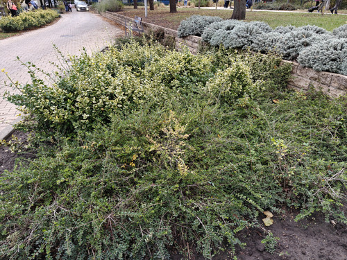 IMG20231025165601.jpg