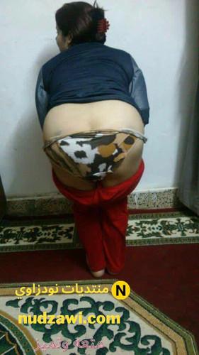 minilien ml 52023 10 24 00 28 24