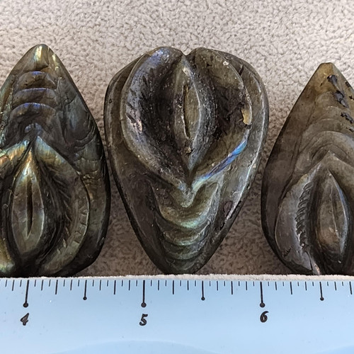 cropped 16986180917782577709878478873805.jpg