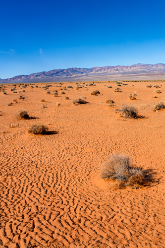 Untitled 1Artboard 1.png