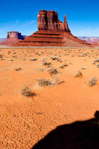 Untitled 1Artboard 2.png