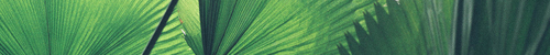 jiYnOh.header 2 bg.png