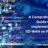 SDWAN on premises.png