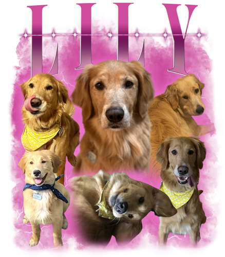 3054616523 lily.png