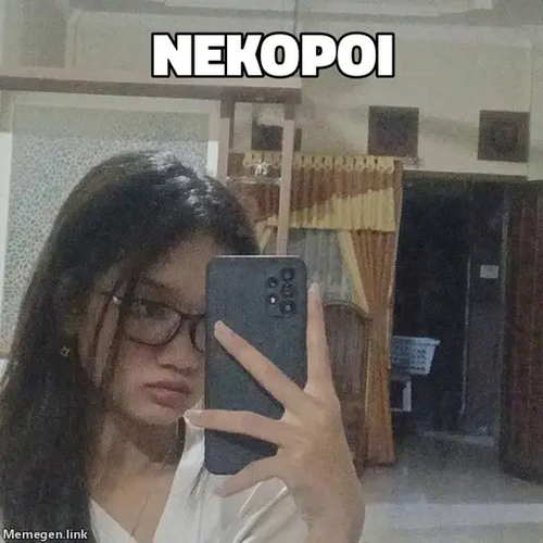 6431.png