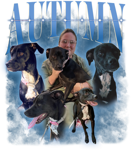 3062245392 a.png