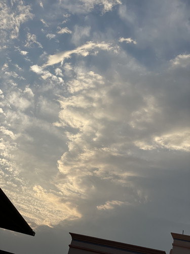 7C26AB0E 8A8B 4D4B 8ECC CF07350CCBC5.jpg