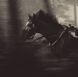 galloping horse.gif