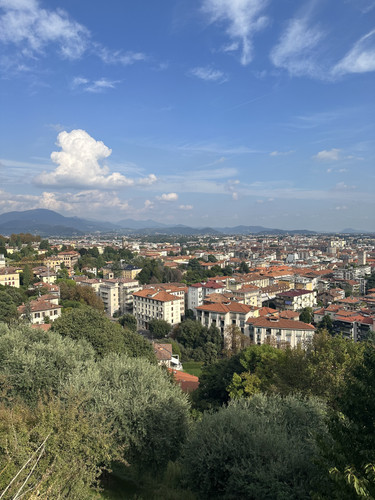 IMG 9072.jpg
