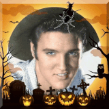 oie overlay (2).gif